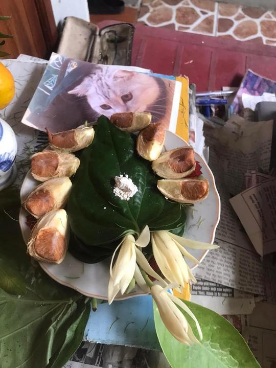 Trầu cau